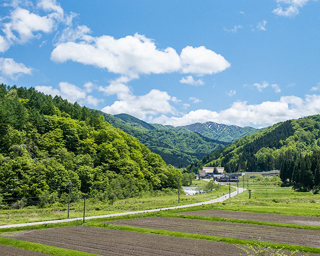 利賀里山