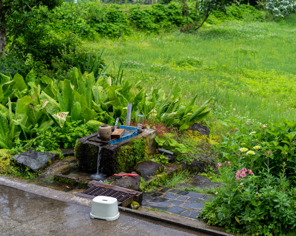 里山の風景