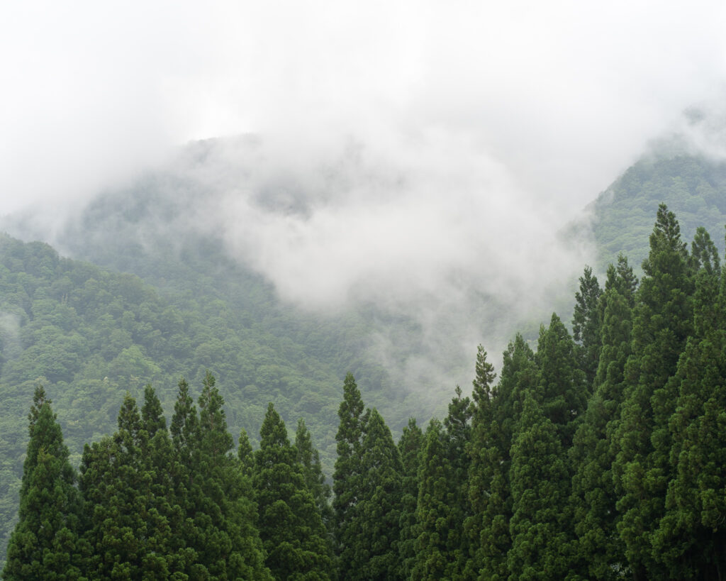 靄のかかった里山