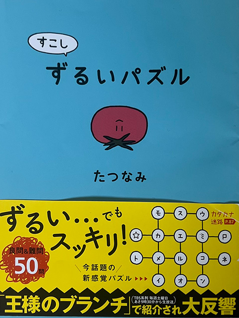 本_すこしずるいパズル