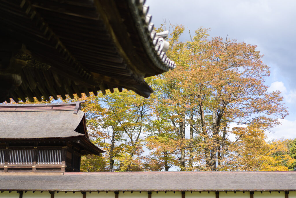 瑞龍寺と紅葉